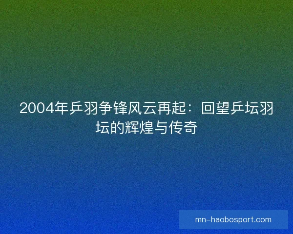 2004年乒羽争锋风云再起：回望乒坛羽坛的辉煌与传奇