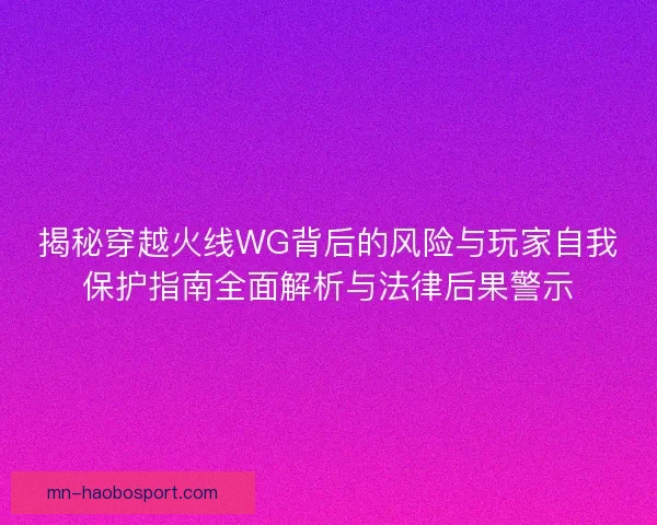 揭秘穿越火线WG背后的风险与玩家自我保护指南全面解析与法律后果警示